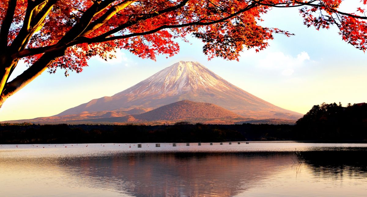 Recommended Pocket Wi-Fi Services and How to Choose the Best Pocket Wi-Fi for Your Trip to Japan