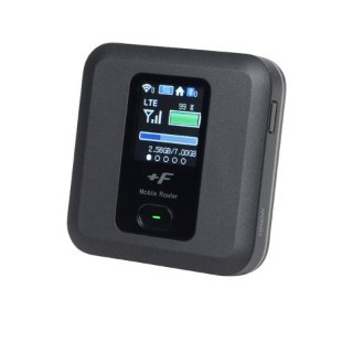 Pocket WiFi Docomo (30GB/Month) 10 Days Rental